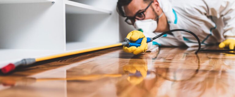 Termite inspections Ann Arbor MI – Wolverine Pest Services trusted experts | Wolverine Pest Services Termite inspections Ann Arbor MI – Wolverine Pest Services trusted experts