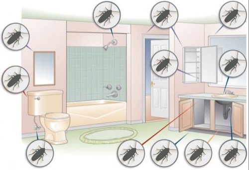 cockroach_bathroom_hiding | Wolverine Pest Services