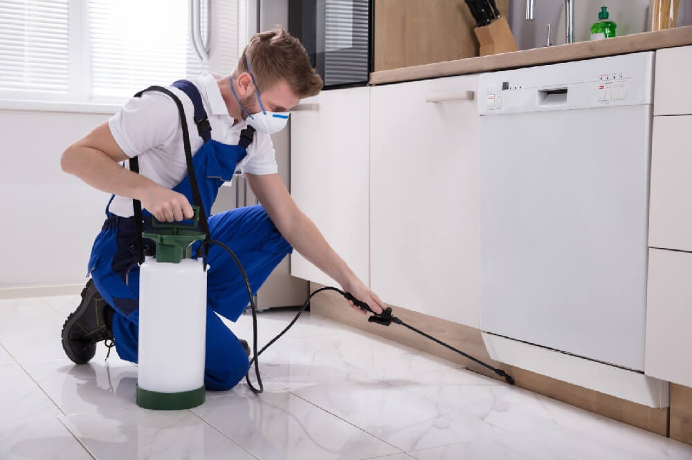 Pest-control | Wolverine Pest Services